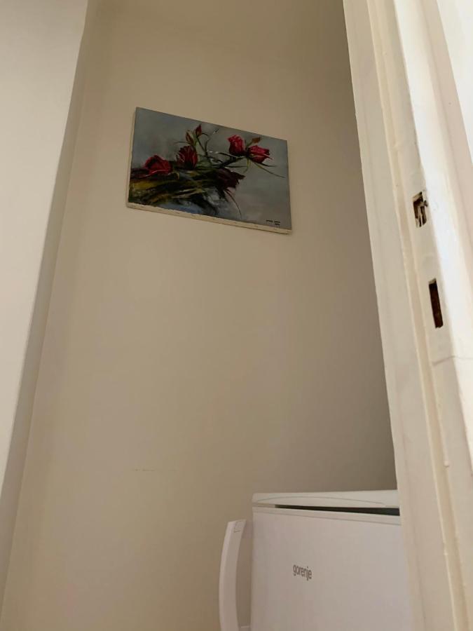 Cozy Apartment In The City Centre Next To Dom Square Szeged Eksteriør billede