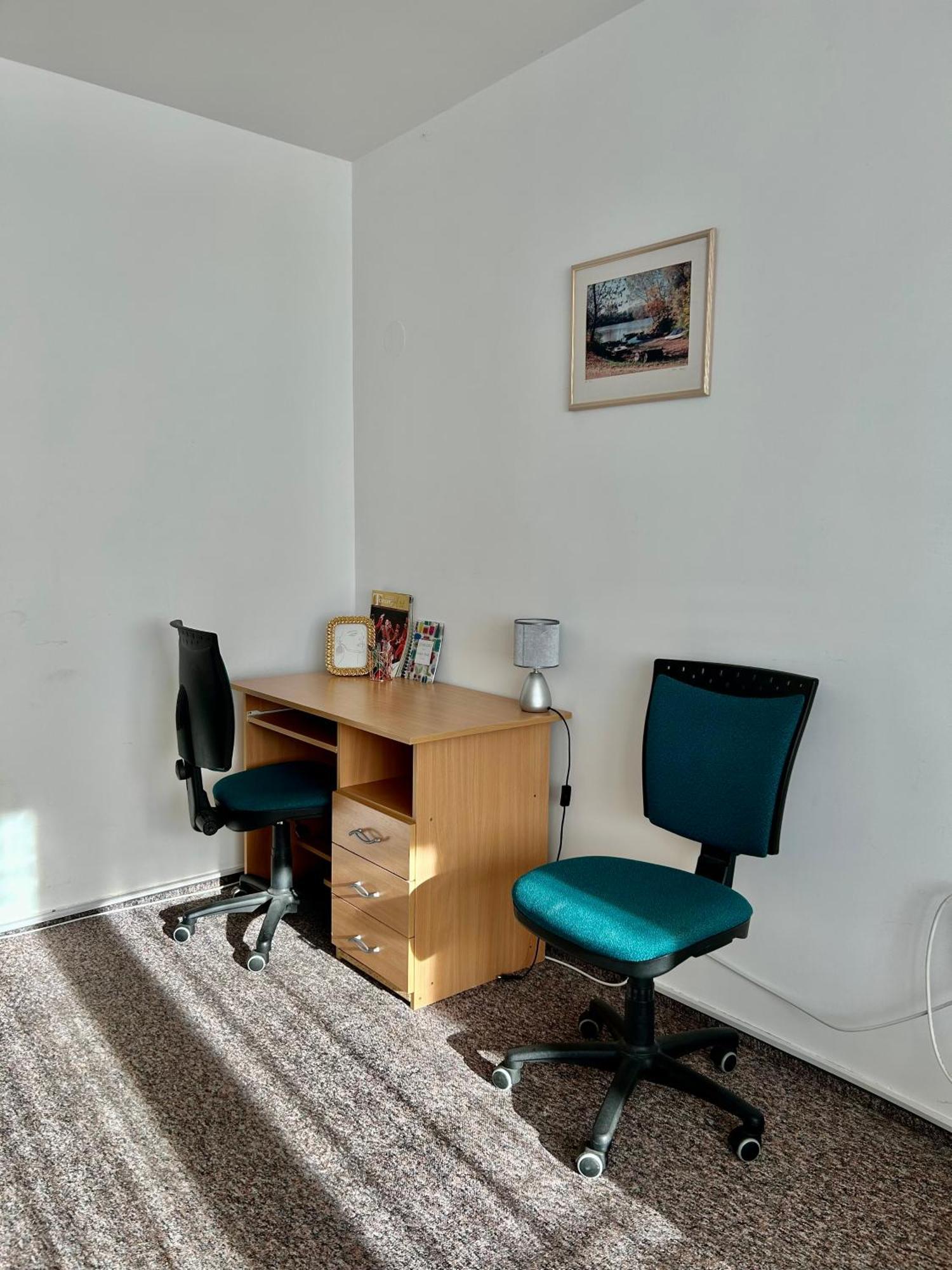 Cozy Apartment In The City Centre Next To Dom Square Szeged Eksteriør billede
